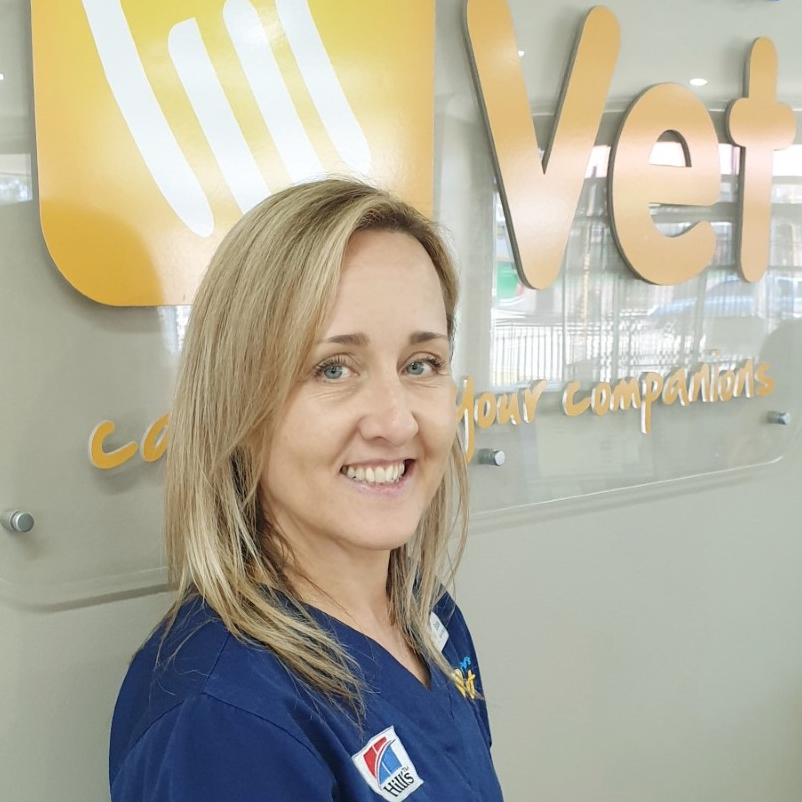 Meet Our Fun Loving Team | Your Pets Vet